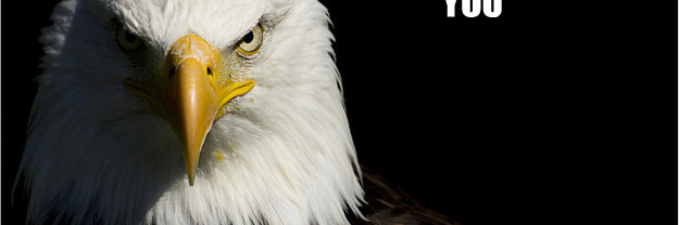 mattpeavy's profile banner image