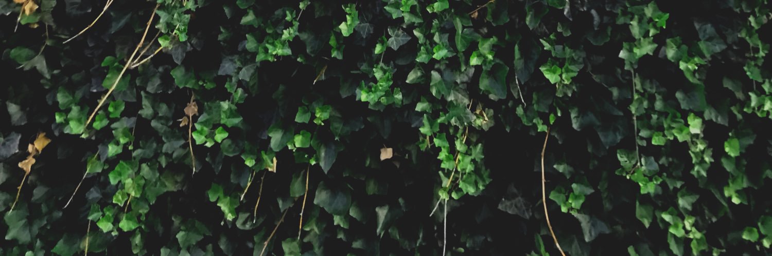 maybesarahcodes's profile banner image