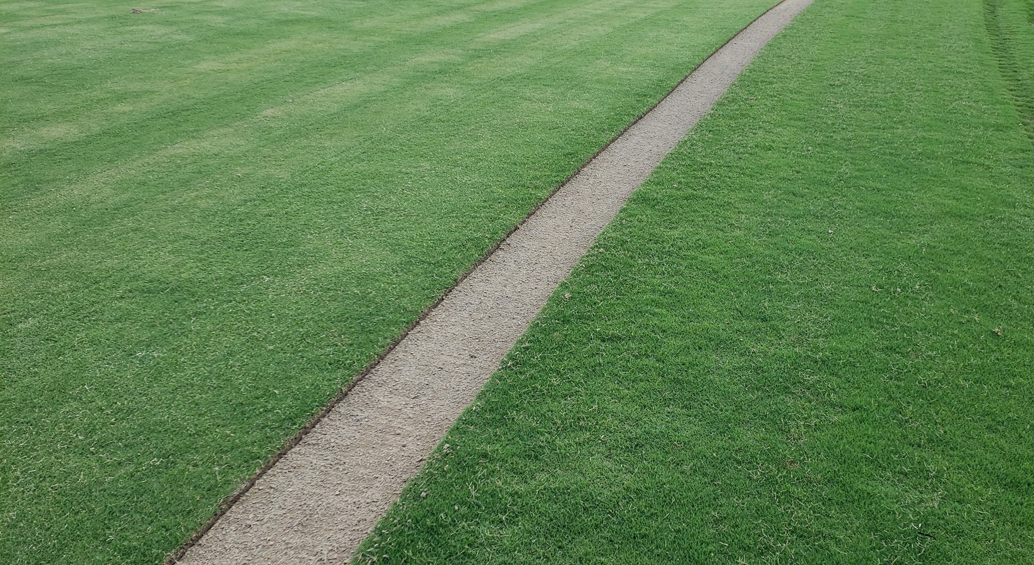 Modern Turf - Rembert banner