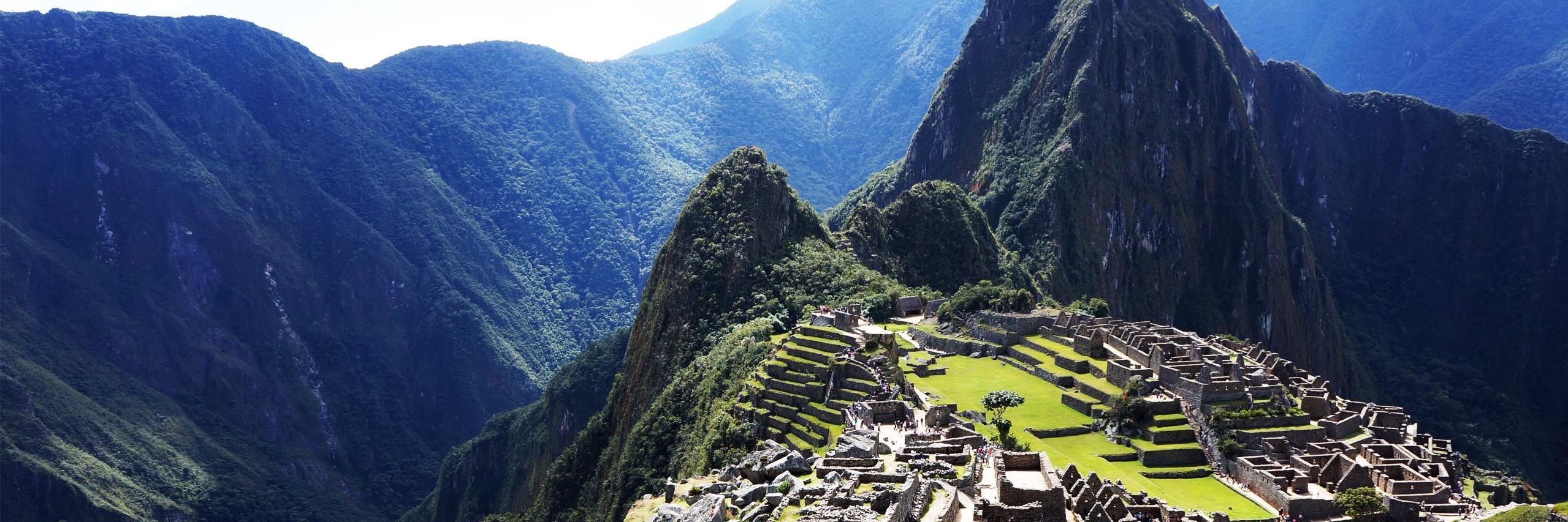 UCD Hispanic Society banner