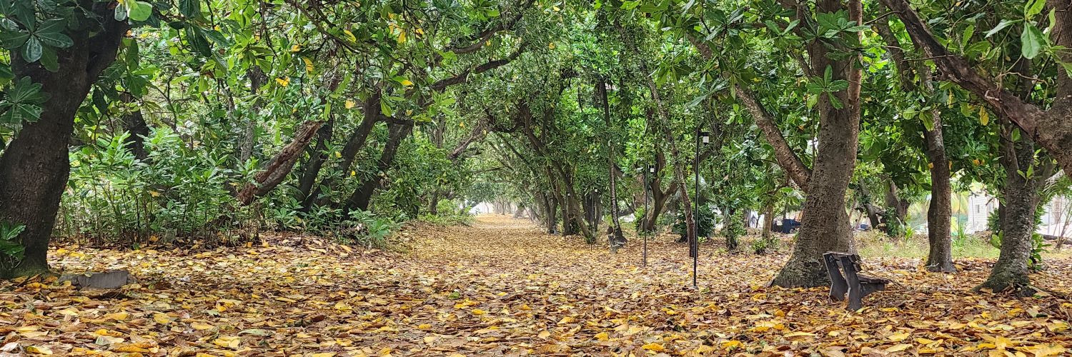 Shuaib Thuhthu banner