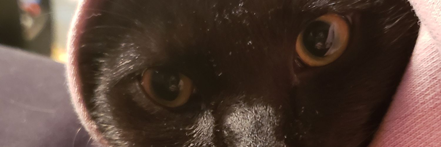 Matt_Greggy's profile banner image