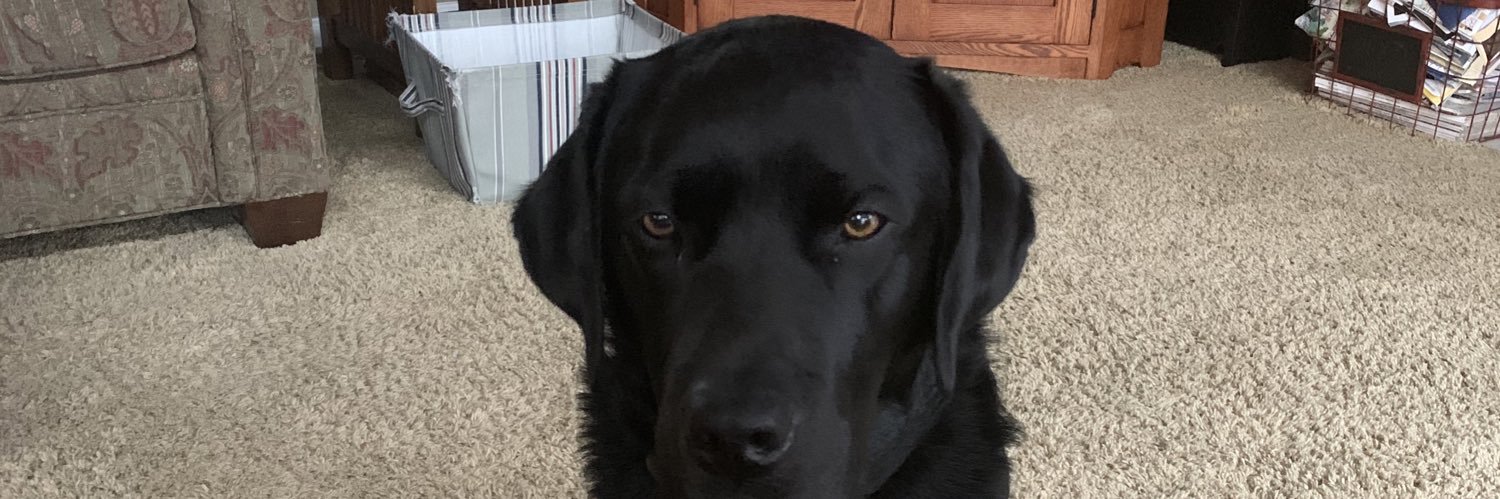 SargeIncuse's profile banner image