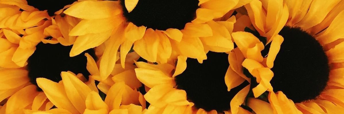 NoelleBasso's profile banner image