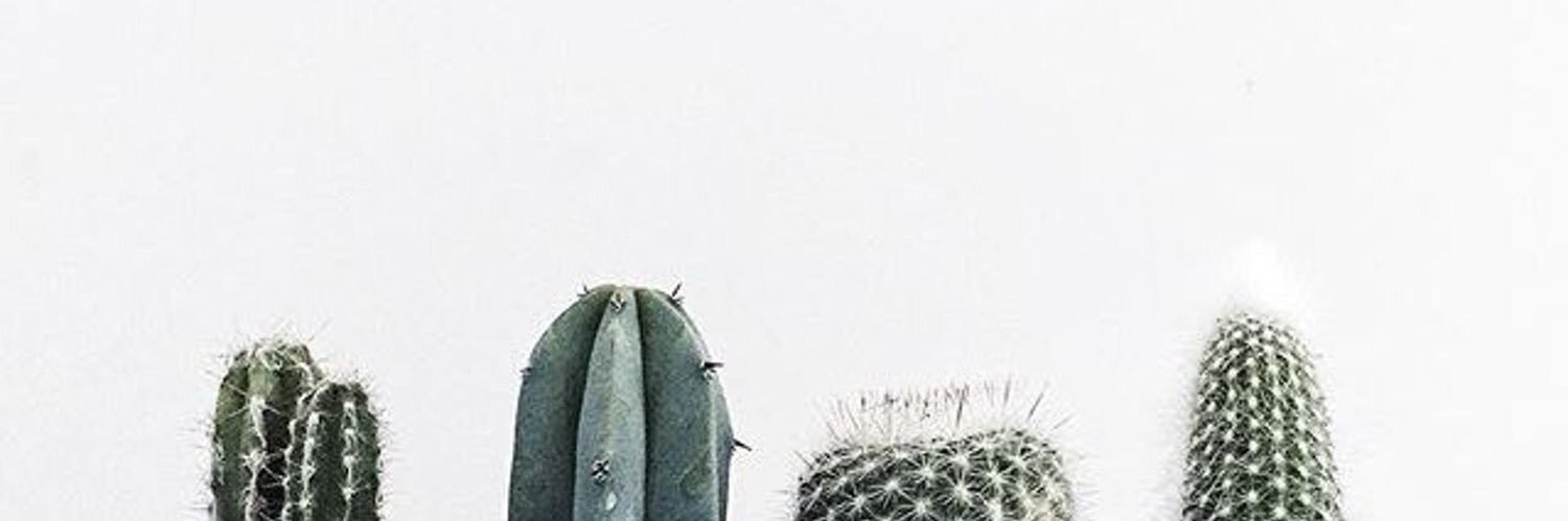 Alex_Folds's profile banner image