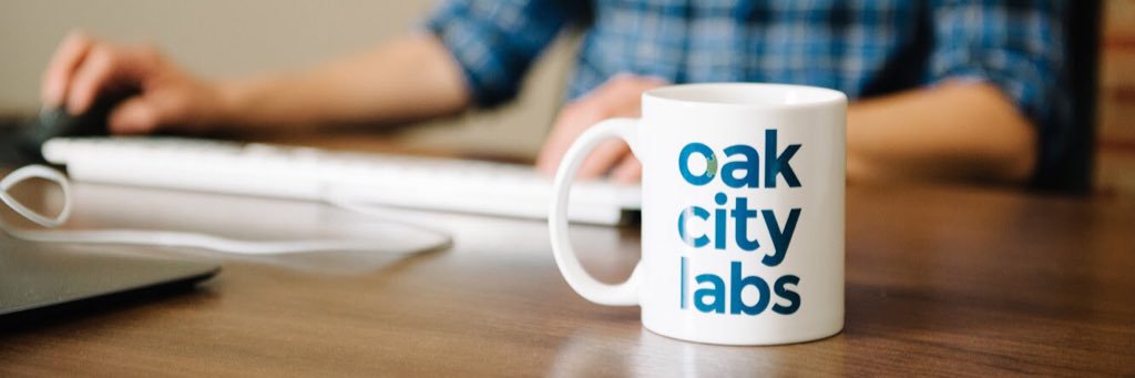 Carol Vercellino banner