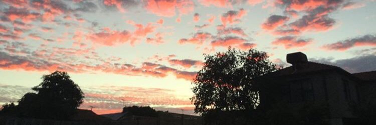 Fiona Sexton banner
