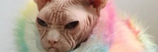 KyKyVanderpump's profile banner image