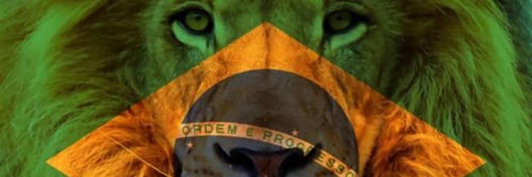 Salim  Hamzem banner