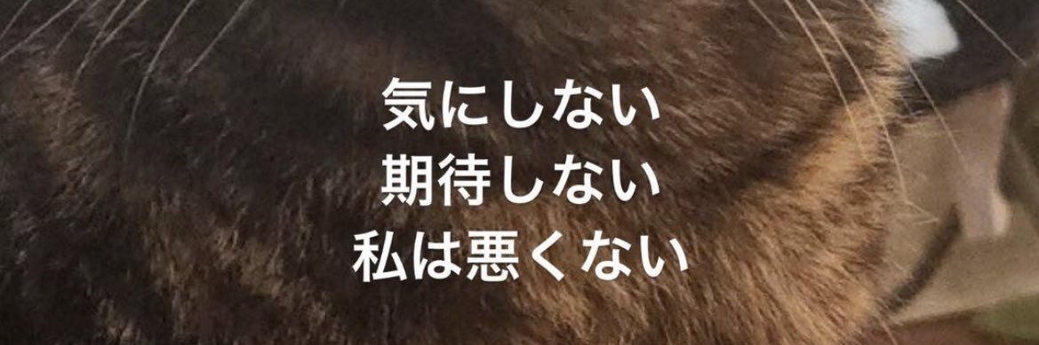 M__kn2802's profile banner image
