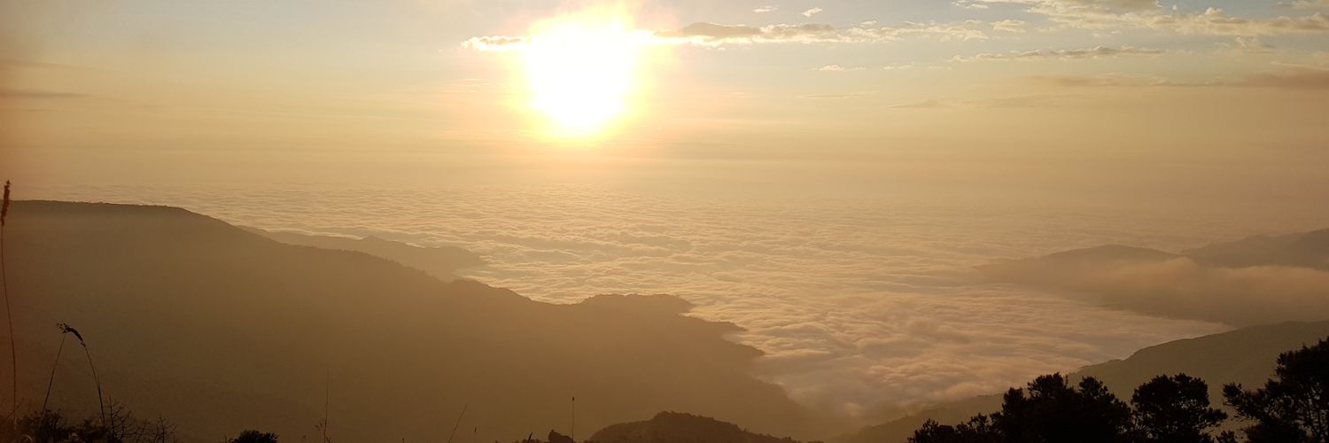AlexsaRodrigue2's profile banner image