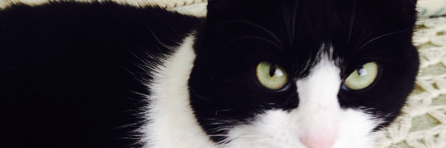 mendeslabshx2's profile banner image
