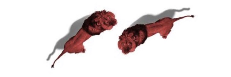 𝓗𝓐𝓡𝓞𝓛𝓓 𝓉𝒽ℯ banner