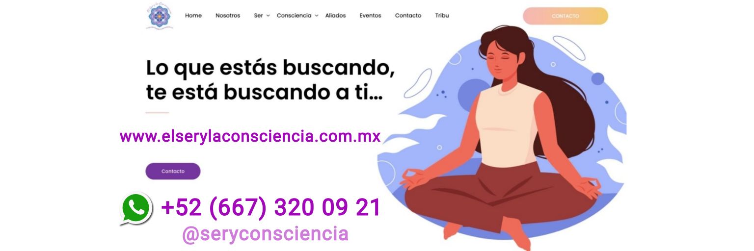 seryconsciencia's profile banner image