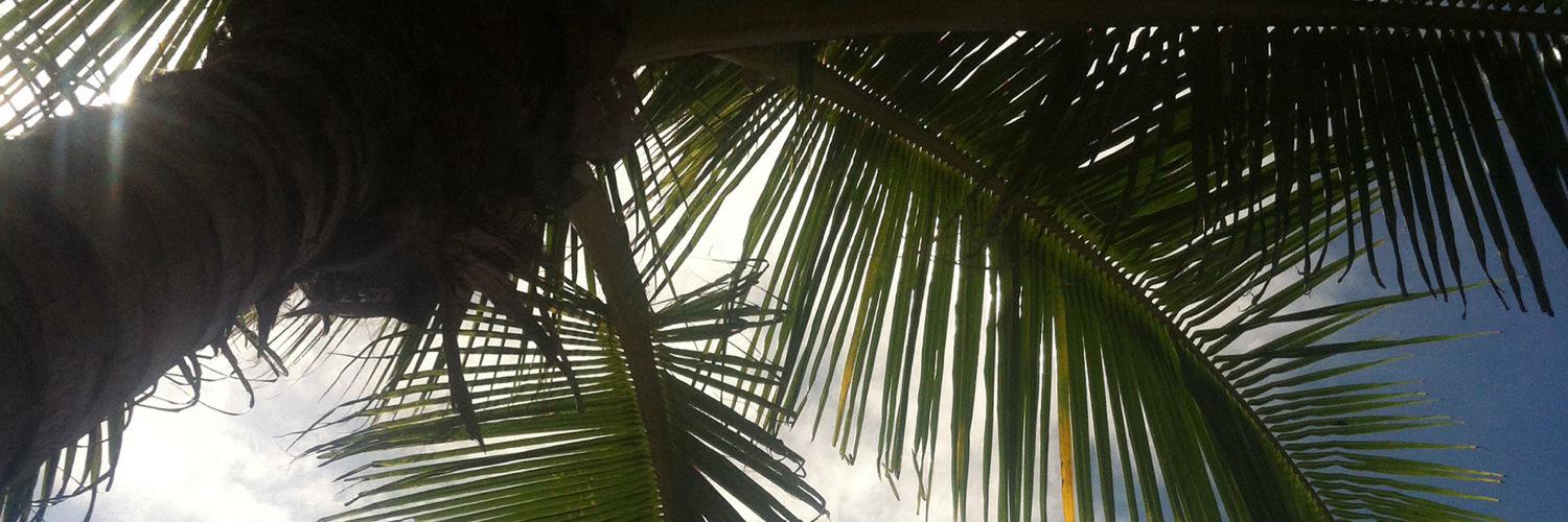 Bernardo Morera banner