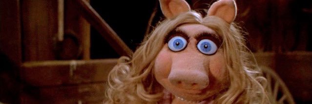 taydug's profile banner image