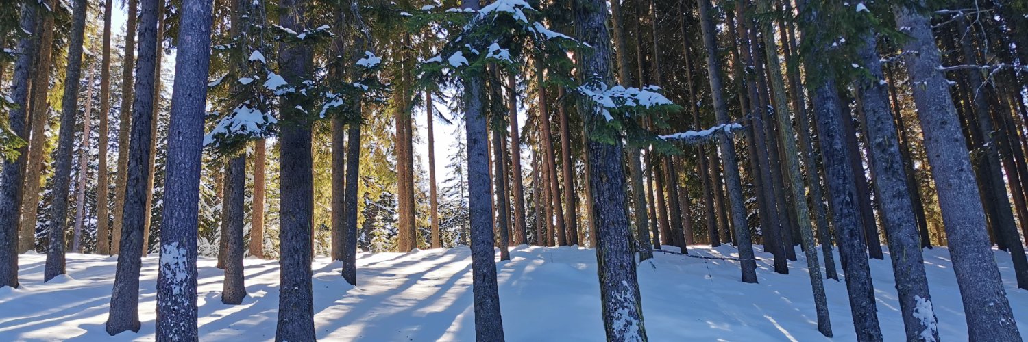 LyubenStefanov's profile banner image