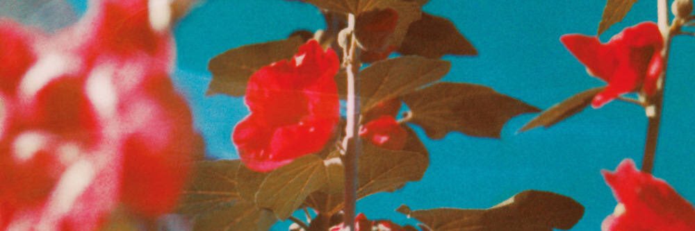 Neurotoxin_030's profile banner image