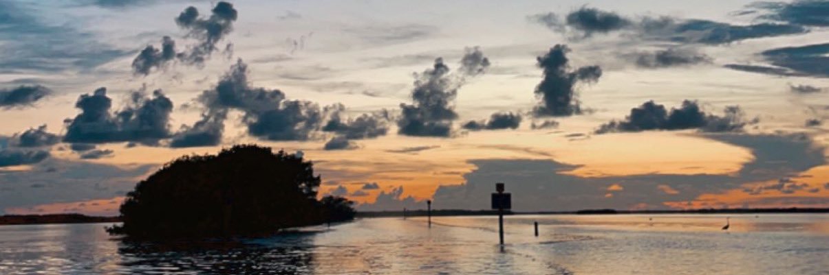 GiannaRuda's profile banner image