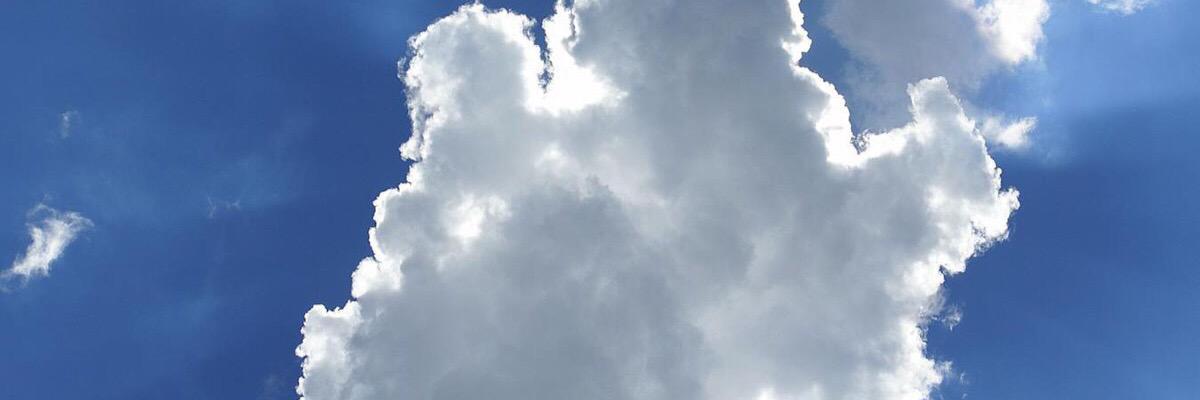 Polyglot Prog banner