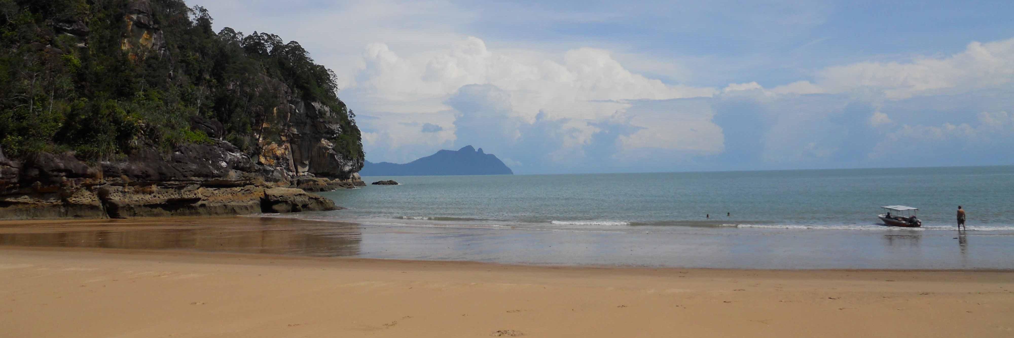 Loretta Lohberger banner