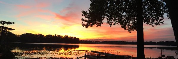 dn1961 Profile Banner