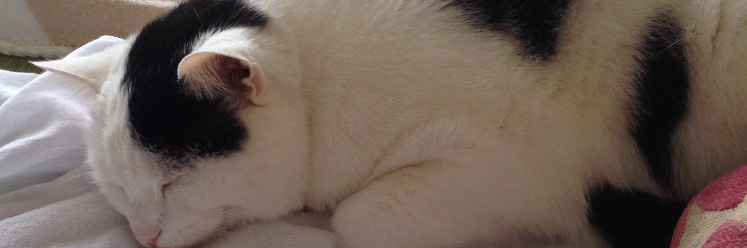 MrsPCrumble's profile banner image