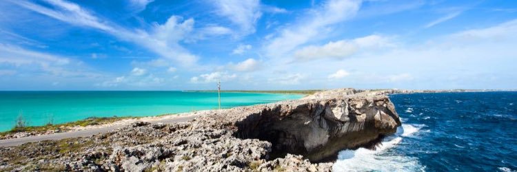 Dr. Vernicka Murray banner