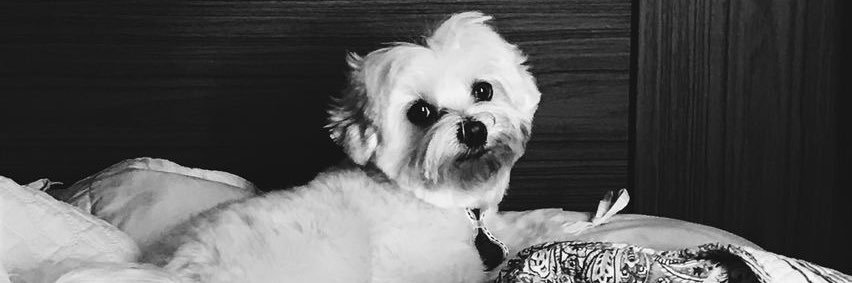 mmealine's profile banner image