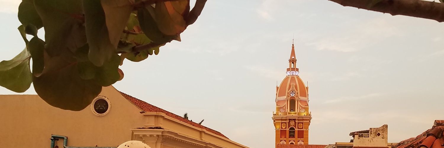 CocoAnillo's profile banner image