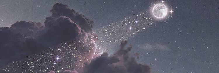 rabiaasamlioglu's profile banner image