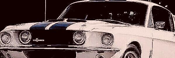Alex Rodríguez banner