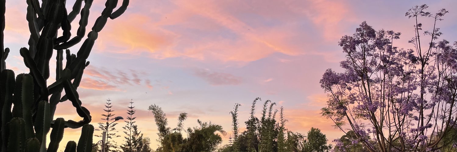 Sabyhaj's profile banner image