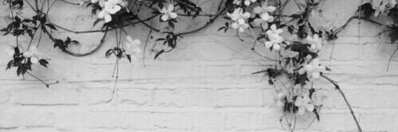 laucastle_'s profile banner image