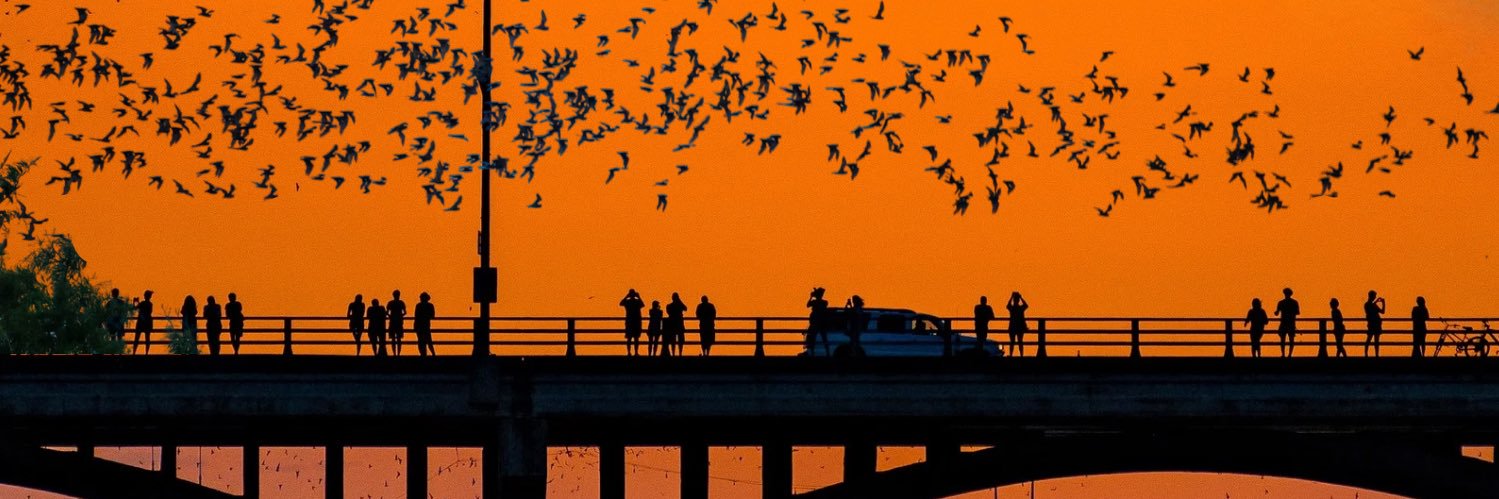 AustinBatworks's profile banner image
