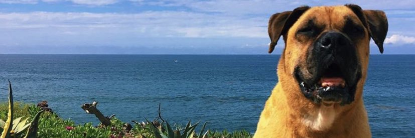 tronhoward_'s profile banner image