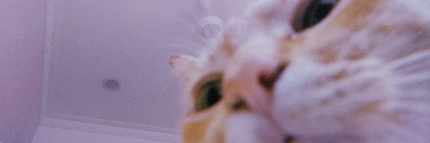 SyamielaAina's profile banner image