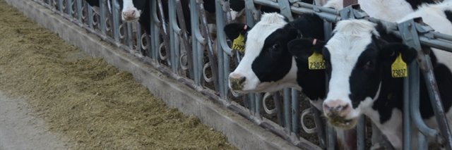 Farm Journal's MILK banner