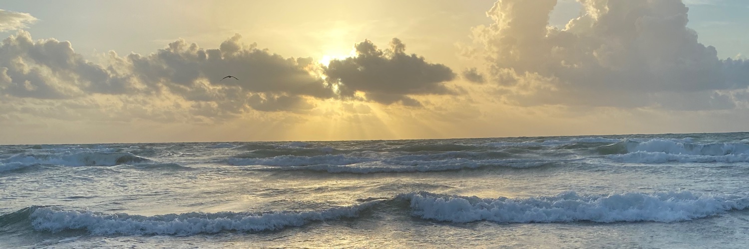 realbbwdream's profile banner image