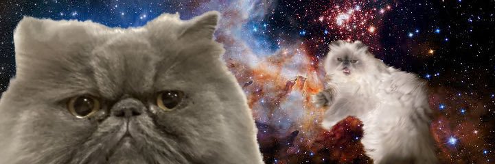akit0m0 banner