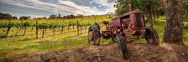 SVGrapesWine Profile Banner