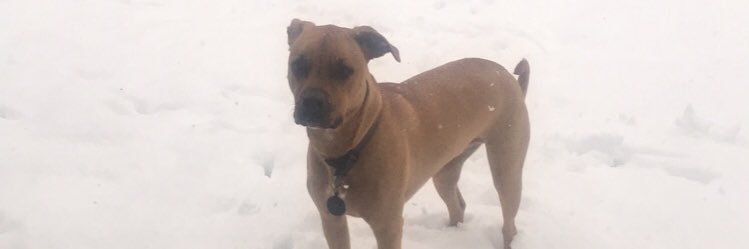 LoganHarris24's profile banner image