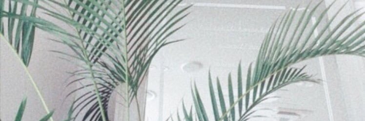 its__vero's profile banner image