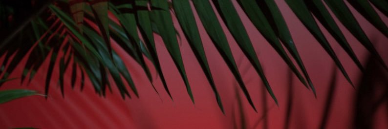meredith_ae's profile banner image