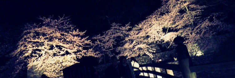 monsuto000zero's profile banner image