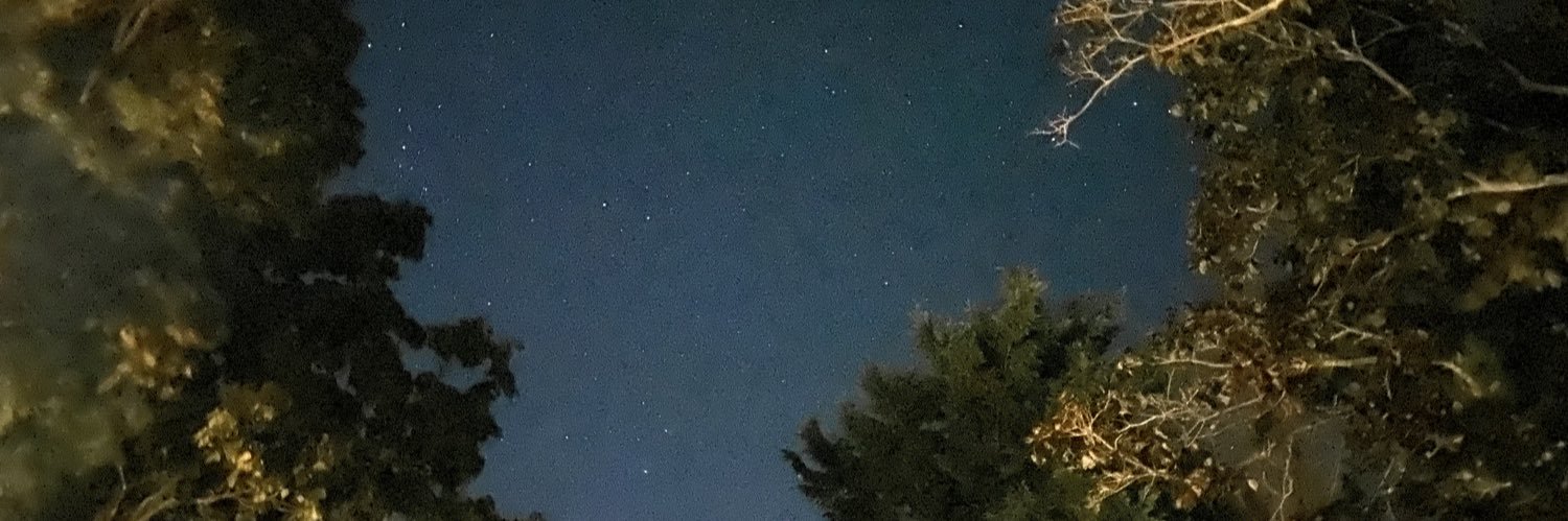 Mathew Rubinstein banner