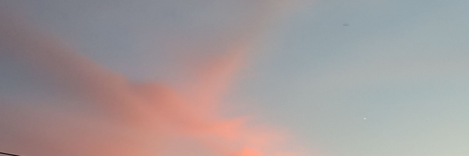 budyonathan's profile banner image