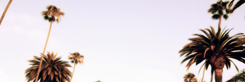 helloitskattt's profile banner image