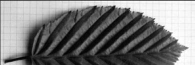 sti2d_itec's profile banner image