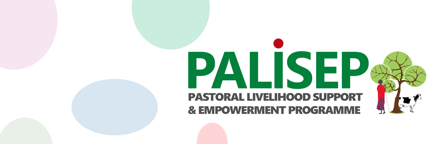 PalisepTz's profile banner image